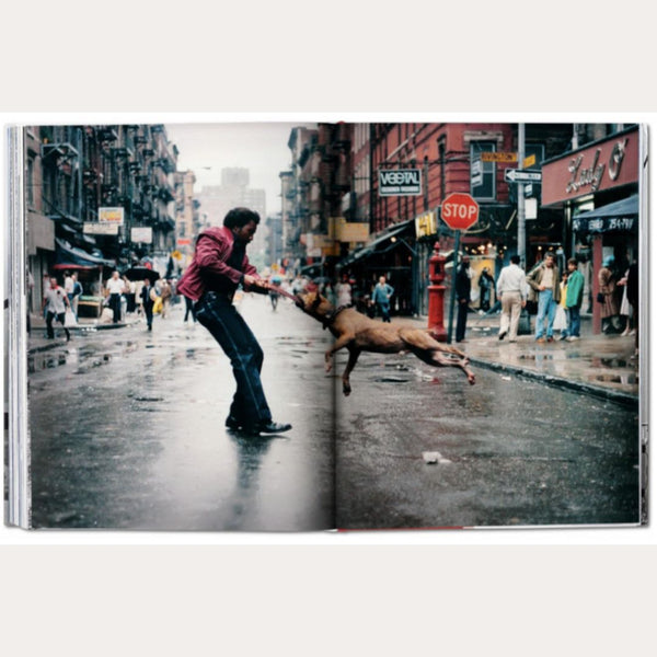 LIBRO NUEVA YORK: RETRATO DE UNA CIUDAD