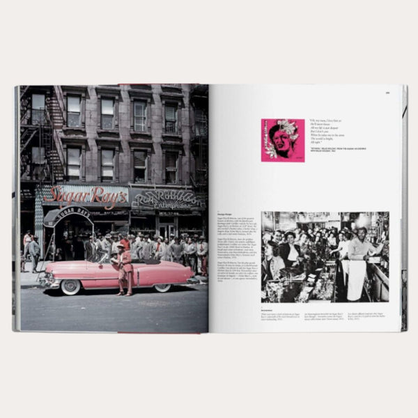 LIBRO NUEVA YORK: RETRATO DE UNA CIUDAD