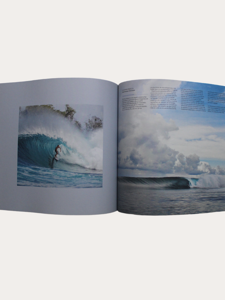 SURF: LAS 100 MEJORES OLAS - LIBROS DE FOTOGRAFÍA