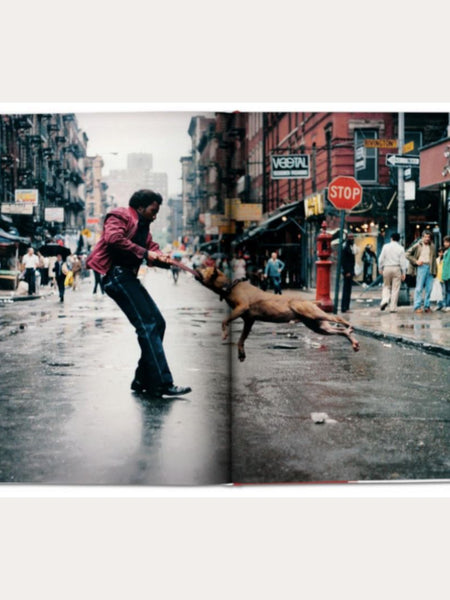 LIBRO NUEVA YORK: RETRATO DE UNA CIUDAD