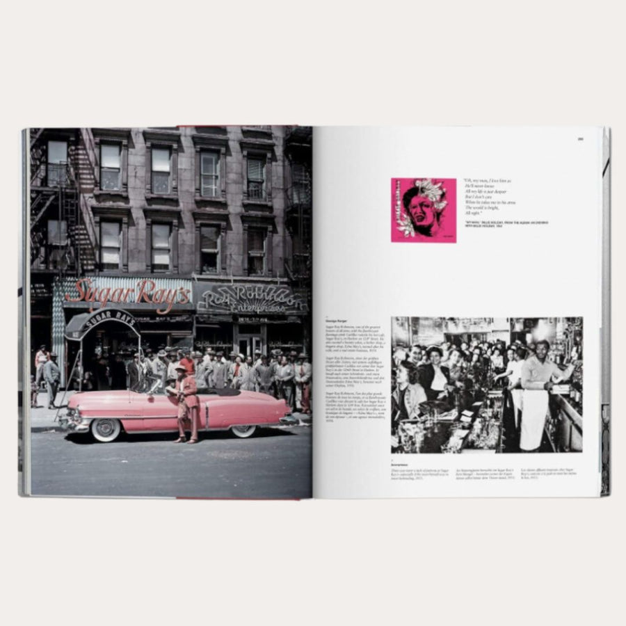 LIBRO NUEVA YORK: RETRATO DE UNA CIUDAD