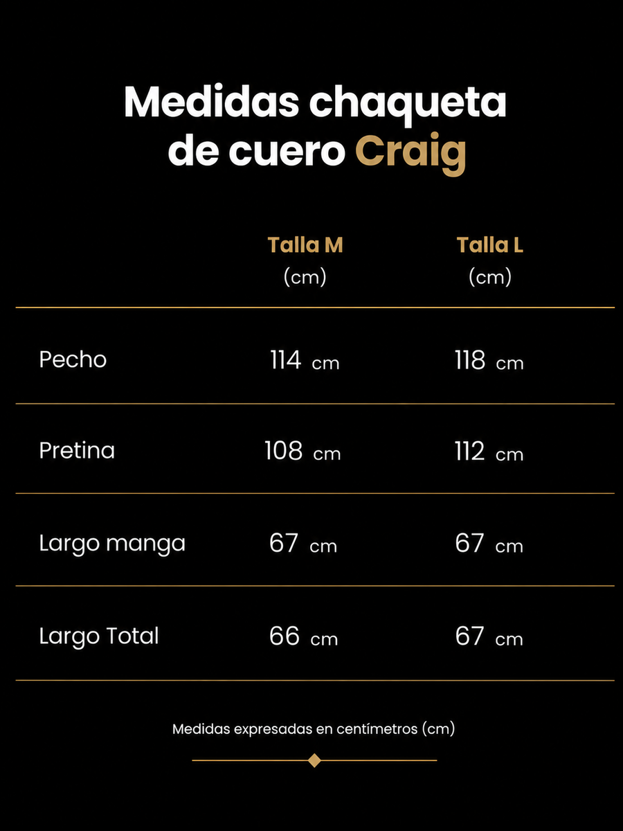 CHAQUETA DE CUERO CRAIG NEGRA